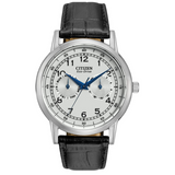 Citizen Eco-Drive Silver Dial Black Leather Men's Watch Item No. AO9000-06B