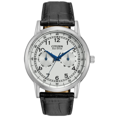 Citizen Eco-Drive Silver Dial Black Leather Men's Watch Item No. AO9000-06B